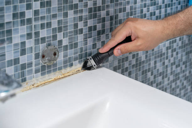 Best Black Mold Remediation in Payson, AZ